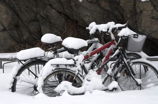 Sykler i snø (Foto: Hallvard Lyssand)
