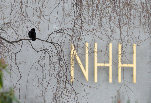 Fugl og NHH-logo 23.12.09